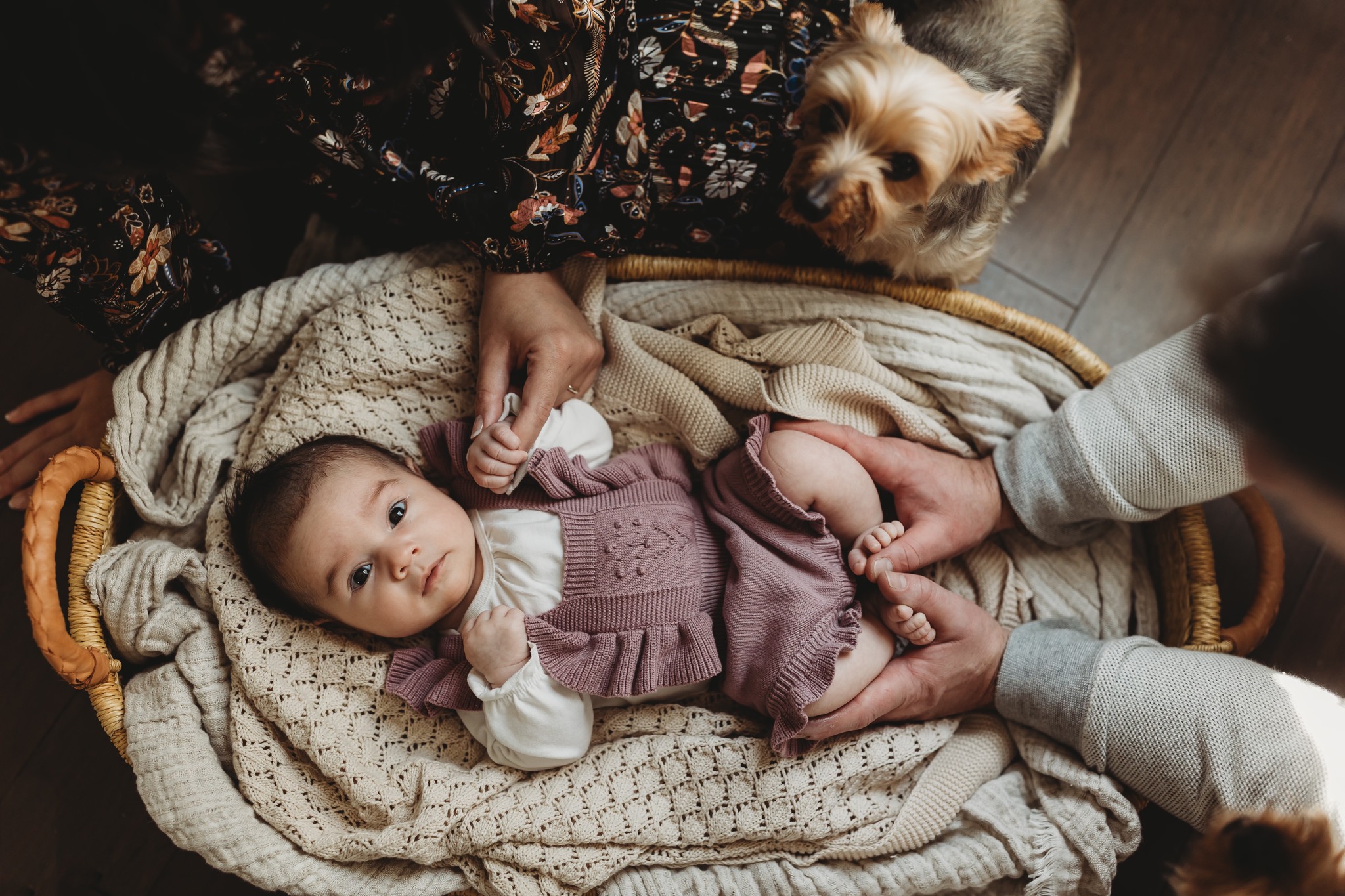 Lifestyle newborn photography in Atlanta with baby in basket by window, parents’ hands and small dog nearby
